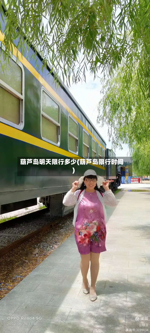 葫芦岛明天限行多少(葫芦岛限行时间)-第2张图片