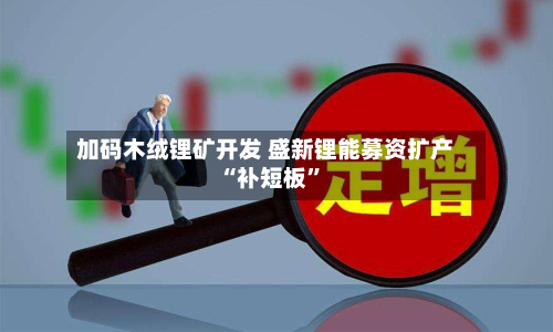 加码木绒锂矿开发 盛新锂能募资扩产“补短板”-第2张图片