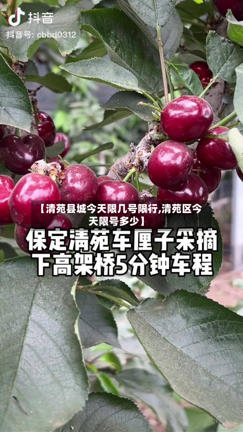 【清苑县城今天限几号限行,清苑区今天限号多少】-第3张图片