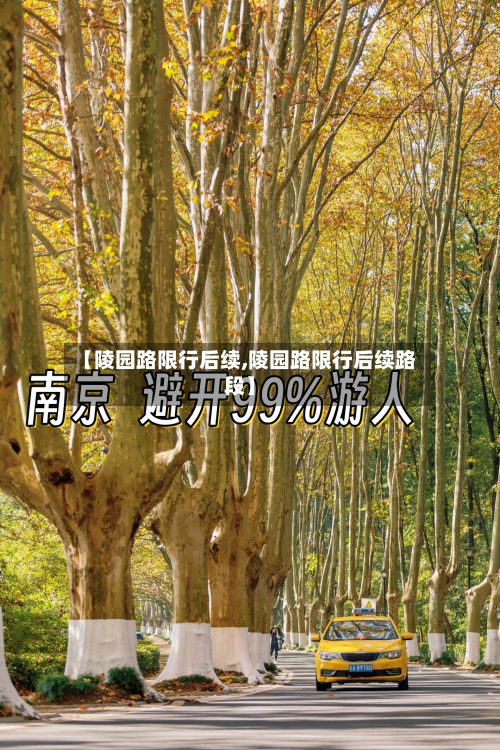 【陵园路限行后续,陵园路限行后续路段】