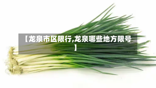 【龙泉市区限行,龙泉哪些地方限号】