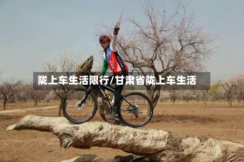 陇上车生活限行/甘肃省陇上车生活-第3张图片