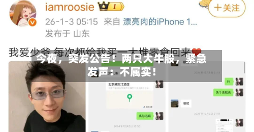 今夜，突发公告！两只大牛股，紧急发声：不属实！-第3张图片