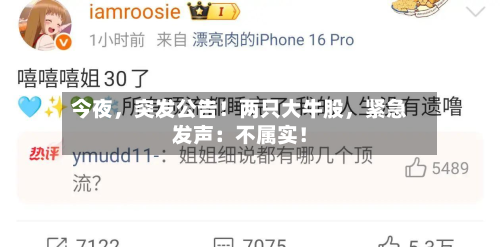 今夜，突发公告！两只大牛股	，紧急发声：不属实！-第2张图片
