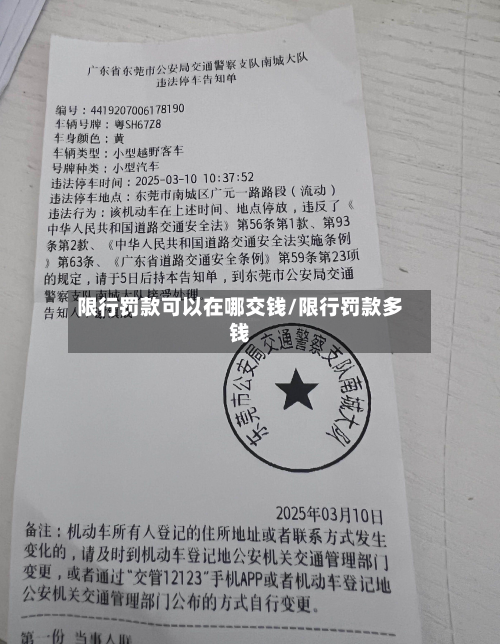 限行罚款可以在哪交钱/限行罚款多钱