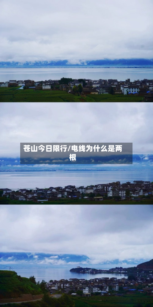 苍山今日限行/电线为什么是两根-第2张图片