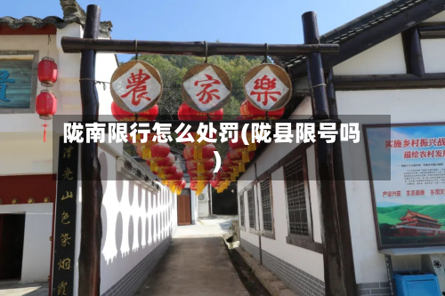 陇南限行怎么处罚(陇县限号吗)