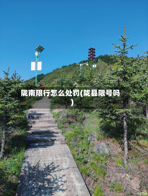 陇南限行怎么处罚(陇县限号吗)-第2张图片