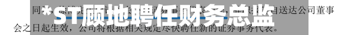 *ST顾地聘任财务总监