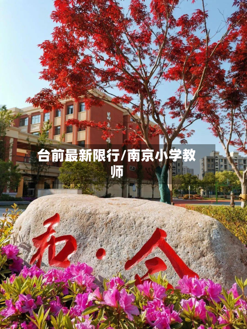 台前最新限行/南京小学教师