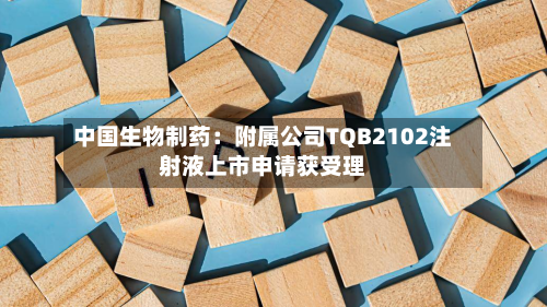 中国生物制药：附属公司TQB2102注射液上市申请获受理