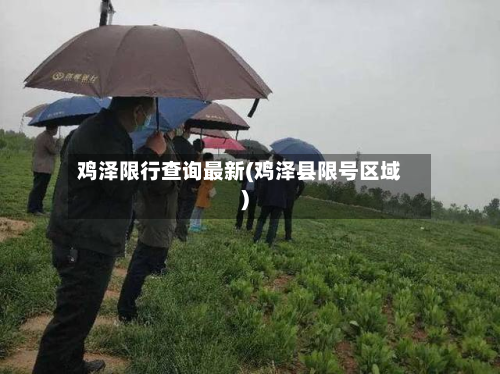 鸡泽限行查询最新(鸡泽县限号区域)
