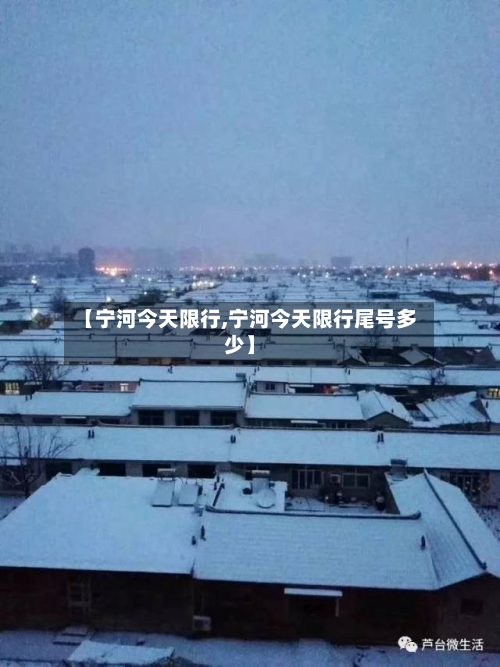 【宁河今天限行,宁河今天限行尾号多少】-第2张图片