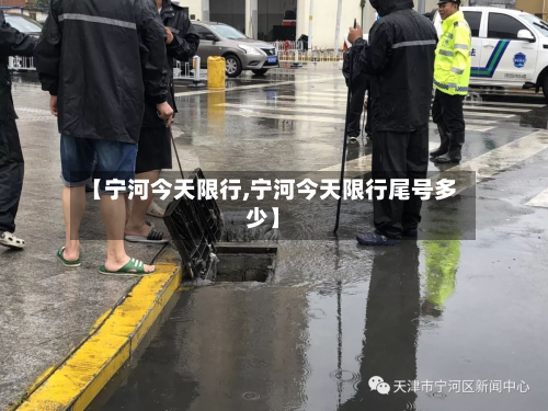 【宁河今天限行,宁河今天限行尾号多少】