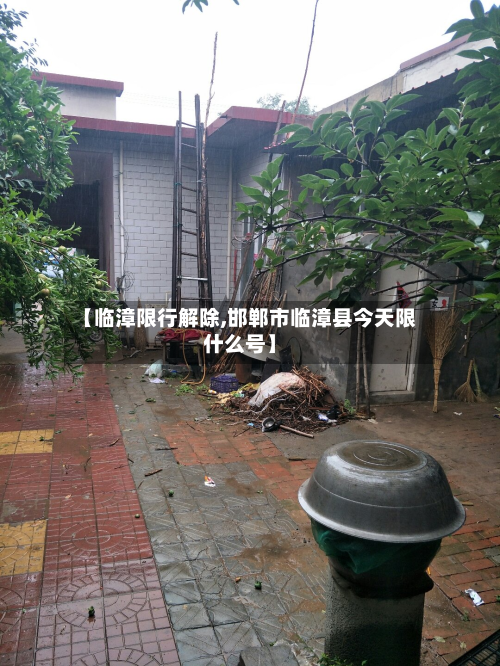 【临漳限行解除,邯郸市临漳县今天限什么号】-第2张图片