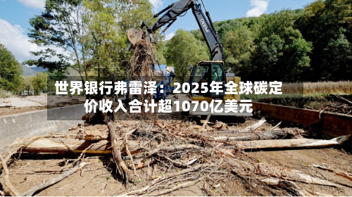 世界银行弗雷泽：2025年全球碳定价收入合计超1070亿美元
