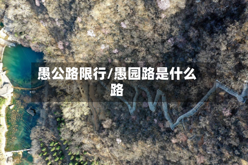 愚公路限行/愚园路是什么路-第2张图片