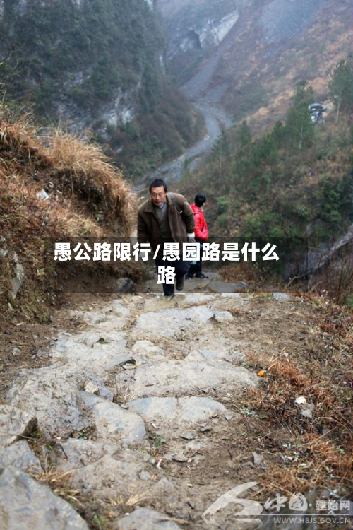 愚公路限行/愚园路是什么路