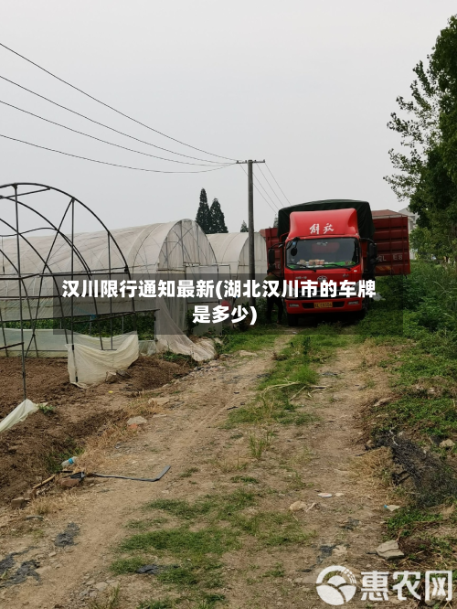 汉川限行通知最新(湖北汉川市的车牌是多少)-第2张图片