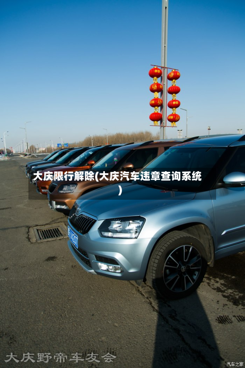 大庆限行解除(大庆汽车违章查询系统)-第2张图片