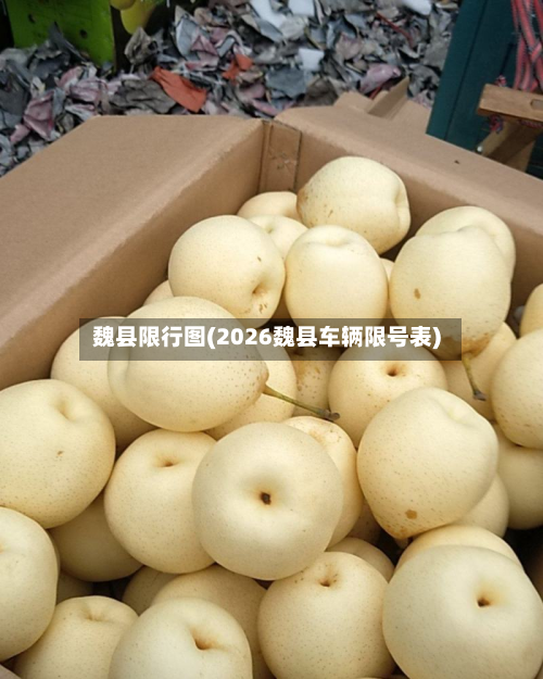 魏县限行图(2026魏县车辆限号表)