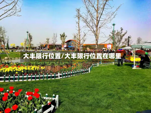 大丰限行位置/大丰限行位置在哪里
