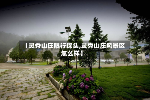 【灵秀山庄限行探头,灵秀山庄风景区怎么样】-第2张图片