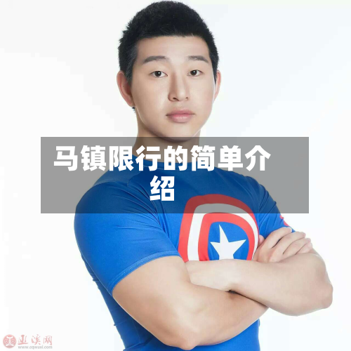 马镇限行的简单介绍-第2张图片