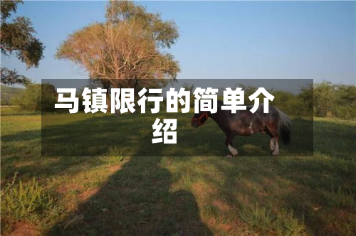 马镇限行的简单介绍-第1张图片
