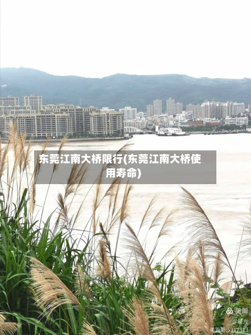东莞江南大桥限行(东莞江南大桥使用寿命)-第3张图片