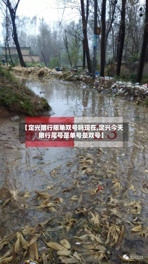 【定兴限行限单双号吗现在,定兴今天限行尾号是单号是双号】-第2张图片