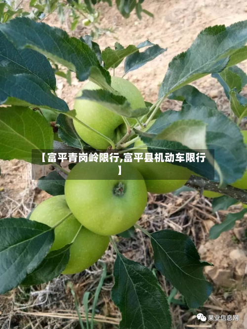 【富平青岗岭限行,富平县机动车限行】