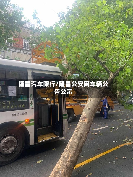 隆昌汽车限行/隆昌公安网车辆公告公示-第2张图片