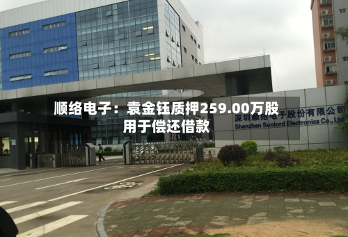 顺络电子:袁金钰质押259.00万股用于偿还借款-第2张图片