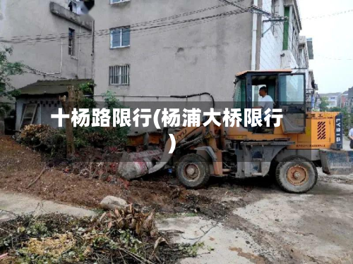 十杨路限行(杨浦大桥限行)