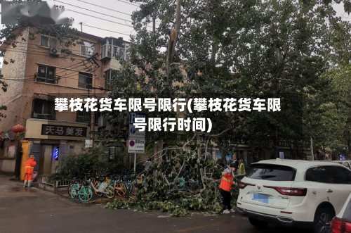攀枝花货车限号限行(攀枝花货车限号限行时间)