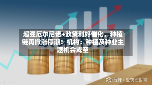 超强厄尔尼诺+政策利好催化，种植链再掀涨停潮！机构：种植及种业主题机会或至