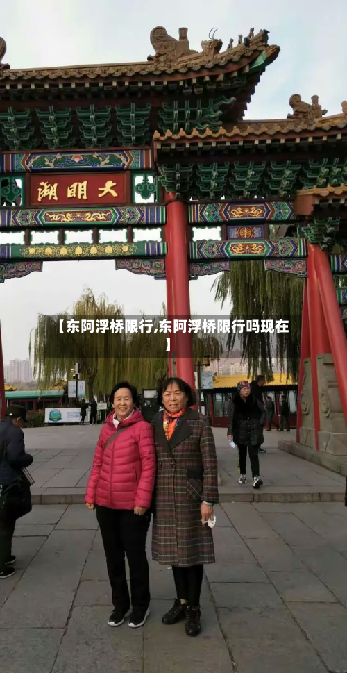 【东阿浮桥限行,东阿浮桥限行吗现在】