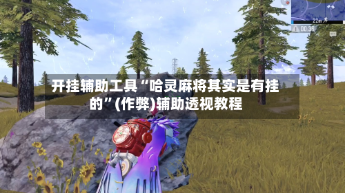 开挂辅助工具“哈灵麻将其实是有挂的	”(作弊)辅助透视教程-第2张图片
