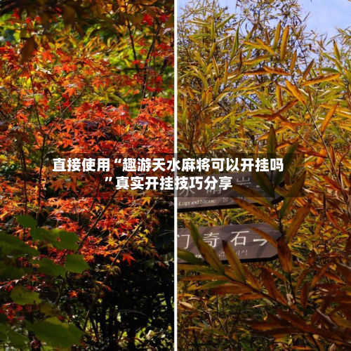 直接使用“趣游天水麻将可以开挂吗	”真实开挂技巧分享-第2张图片