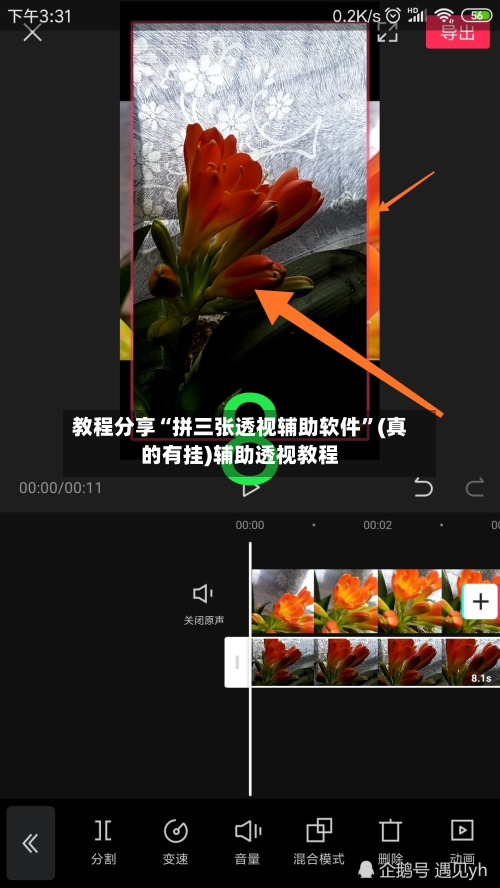 教程分享“拼三张透视辅助软件”(真的有挂)辅助透视教程