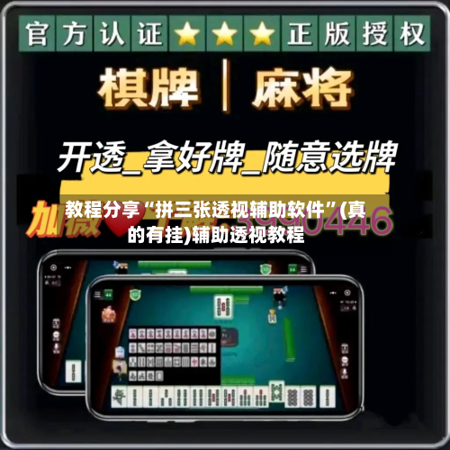 教程分享“拼三张透视辅助软件”(真的有挂)辅助透视教程-第2张图片