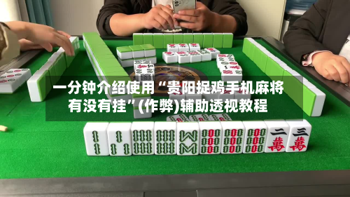 一分钟介绍使用“贵阳捉鸡手机麻将有没有挂”(作弊)辅助透视教程-第2张图片