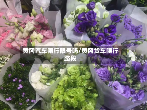 黄冈汽车限行限号吗/黄冈货车限行路段