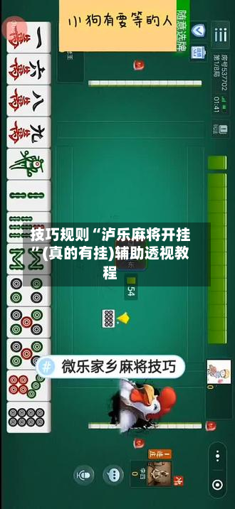 技巧规则“泸乐麻将开挂”(真的有挂)辅助透视教程-第2张图片