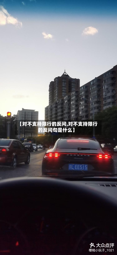 【对不支持限行的反问,对不支持限行的反问句是什么】-第2张图片