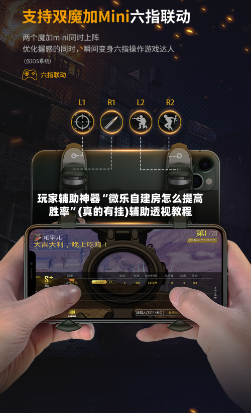 玩家辅助神器“微乐自建房怎么提高胜率”(真的有挂)辅助透视教程