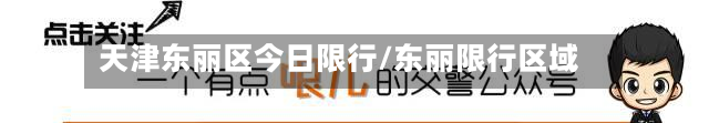 天津东丽区今日限行/东丽限行区域-第3张图片