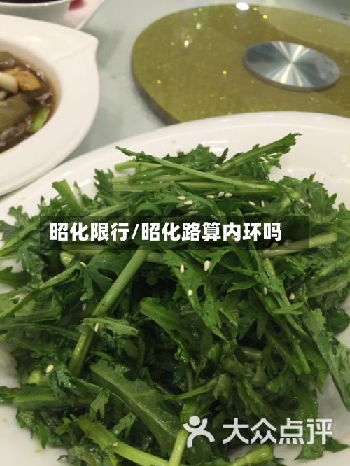 昭化限行/昭化路算内环吗