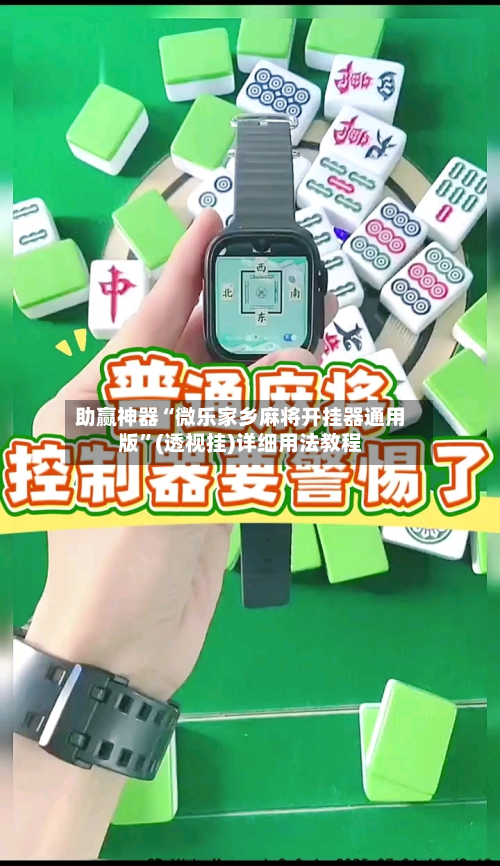 助赢神器“微乐家乡麻将开挂器通用版”(透视挂)详细用法教程-第2张图片